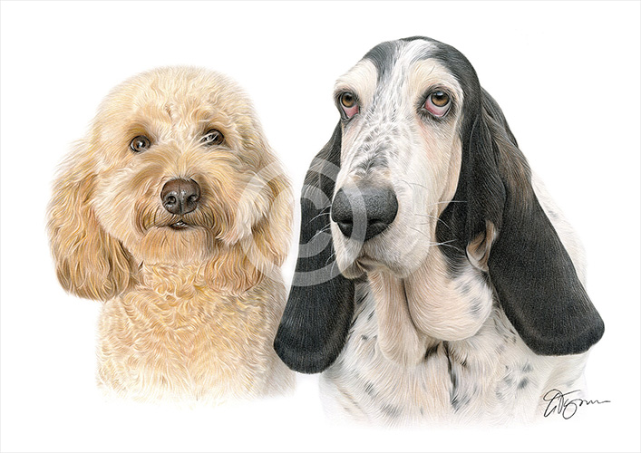 Pencil drawing commission of two dogs