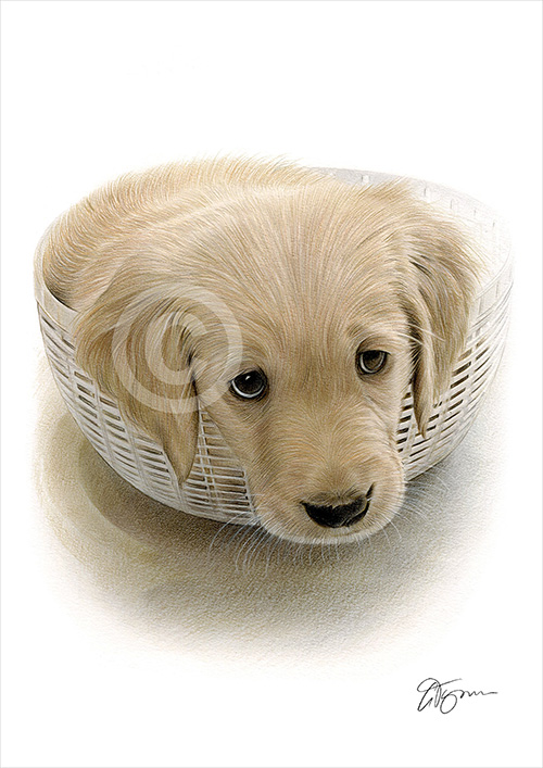 Pencil drawing commission of a dog in a basket