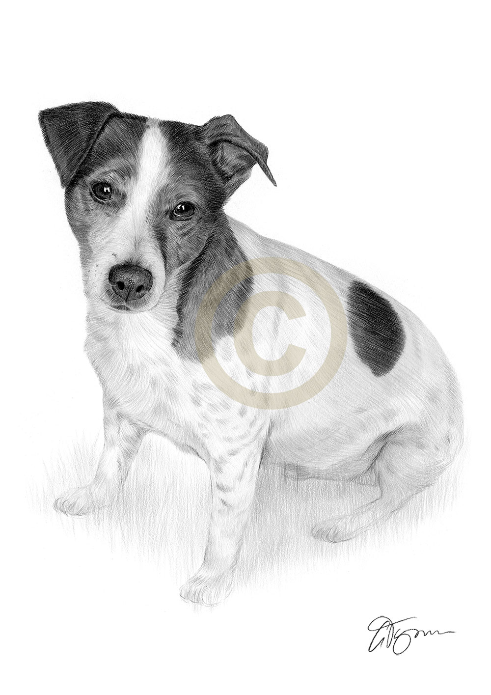 Pet portrait commission of a jack russell by artist Gary Tymon
