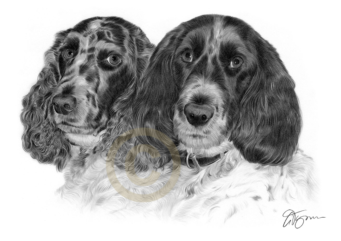 Pet portrait commission of Milo and Bracken by artist Gary Tymon