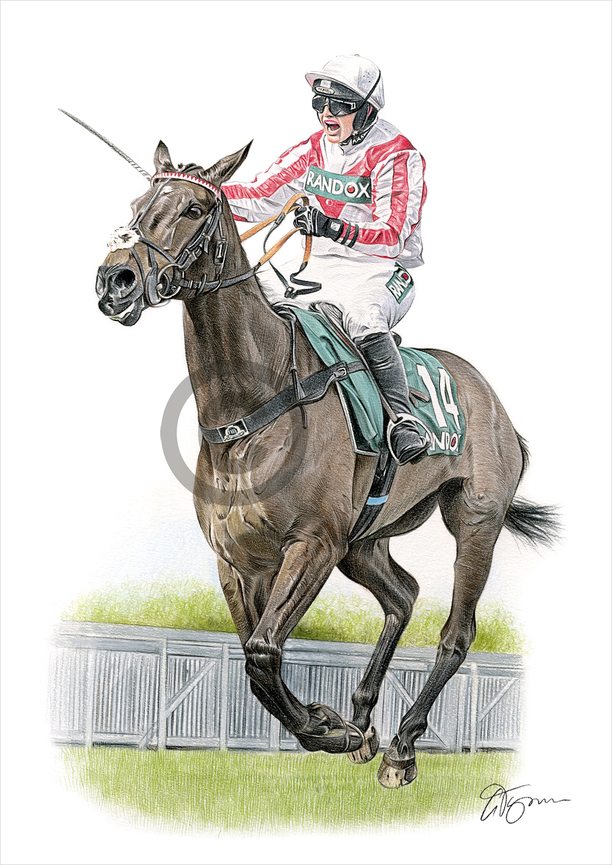 Pencil drawing commission of a horse and rider by artist Gary Tymon