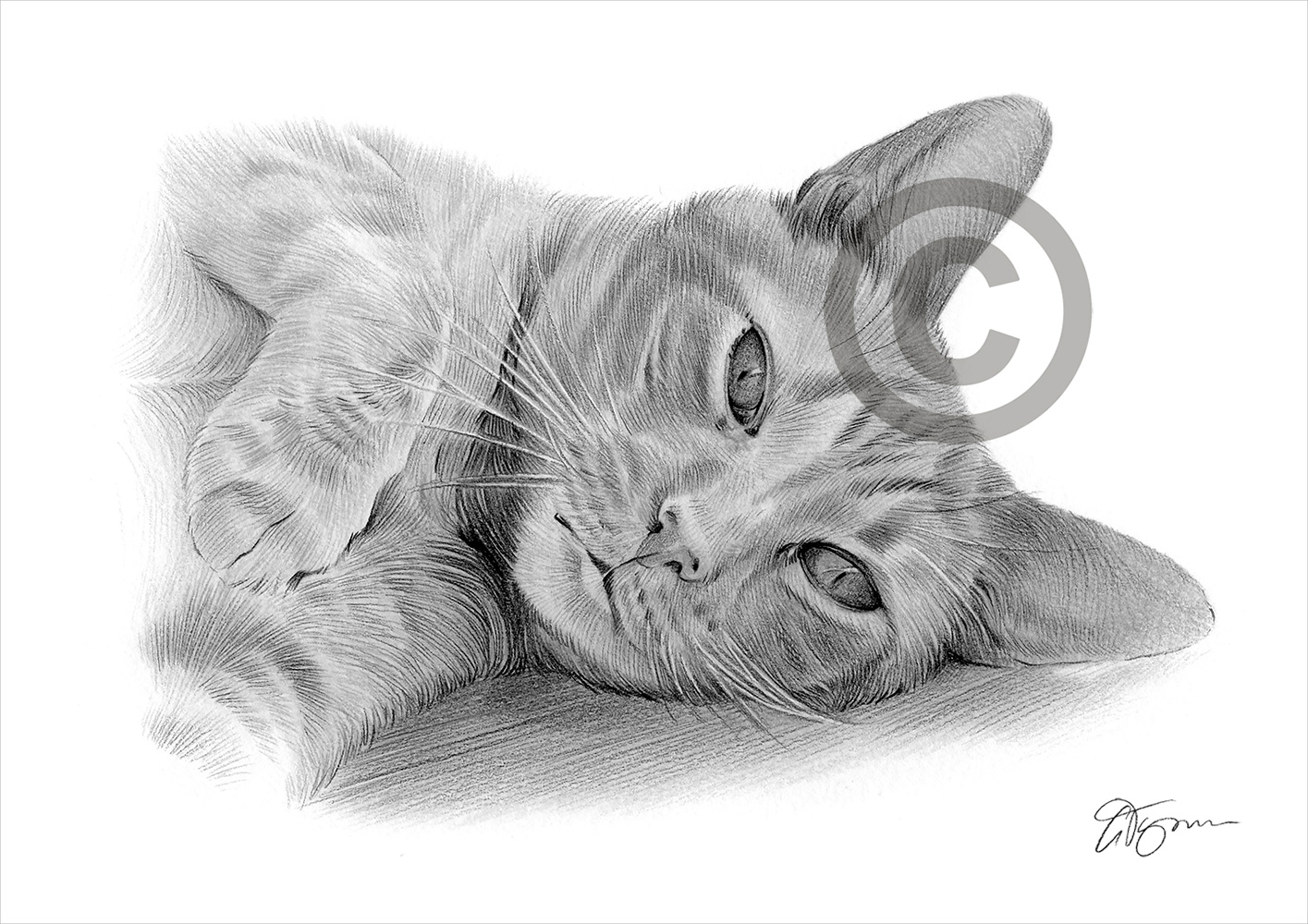 Pencil drawing commission of a tired cat by artist Gary Tymon