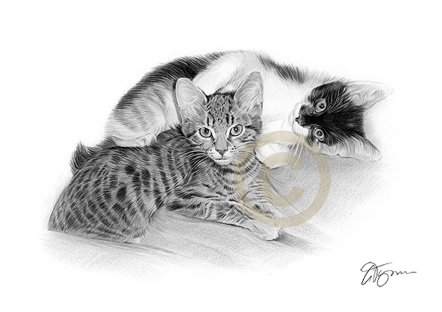 Pet portrait commission of two young cats