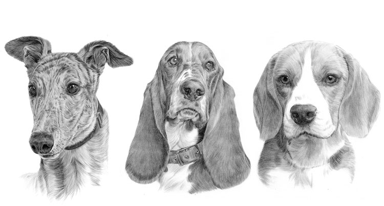 Print gallery for the hound dog breed