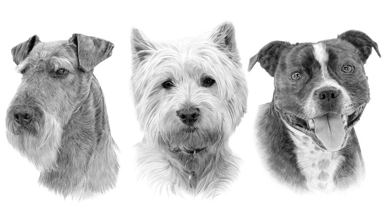 Print gallery for the terrier dog breed