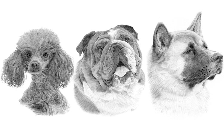 Print gallery for the utility dog breed